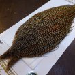 画像3: 【Whiting】HERITAGE ROOSTER CAPE PRO GRADE No.15 (3)