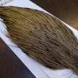 画像3: 【Whiting】HERITAGE ROOSTER CAPE #1 Grade No.13 (3)