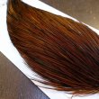 画像3: 【Whiting】HERITAGE ROOSTER CAPE #1 Grade No.14 (3)