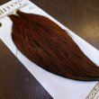 画像2: 【Whiting】HERITAGE ROOSTER CAPE PRO GRADE No.19 (2)