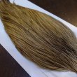 画像4: 【Whiting】HERITAGE ROOSTER CAPE PRO GRADE No.18 (4)