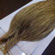 画像3: 【Whiting】HERITAGE ROOSTER CAPE PRO GRADE No.18 (3)