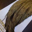 画像4: 【Whiting】HERITAGE ROOSTER CAPE PRO GRADE No.16 (4)