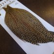 画像2: 【Whiting】HERITAGE ROOSTER CAPE PRO GRADE No.14 (2)