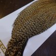 画像5: 【Whiting】HERITAGE ROOSTER CAPE PRO GRADE No.14 (5)