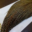 画像5: 【Whiting】HERITAGE ROOSTER CAPE PRO GRADE No.22 (5)