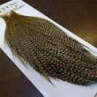 画像2: 【Whiting】HERITAGE ROOSTER CAPE #1 Grade No.15 (2)