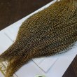 画像4: 【Whiting】HERITAGE ROOSTER CAPE #1 Grade No.15 (4)