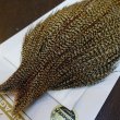 画像3: 【Whiting】HERITAGE ROOSTER CAPE #1 Grade No.16 (3)