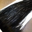 画像3: 【WHITING】Hebert ROOSTER SADDLE PRO Grade - DYED Black  #14 No.4 (3)