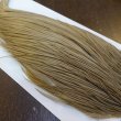 画像3: 【WHITING】Hebert ROOSTER CAPE Bronze Grade - Light tan dun No.1 (3)