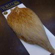 画像2: 【WHITING】AMERICAN ROOSTER CAPE - HONEY DUN (2)