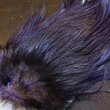 画像3: 【WHITING】Coq de Leon Saddle Bronze Grade - DYED BADGER/LAVENDER (3)