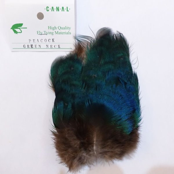 画像1: 【CANAL】 Peacock green neck (1)