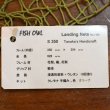 画像6: 【FISH-OWL】ストレートネット S350 内径 35cm No.1425 (6)