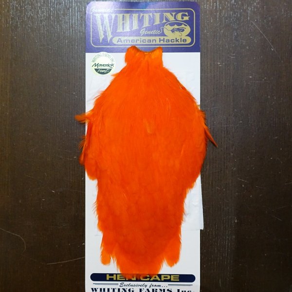 画像1: 【WHITING】American Hackle Hen Cape - Orange (1)