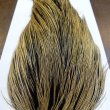 画像6: 【WHITING】ROOSTER Cape Pro Grade - Golden Badger No.1 (6)