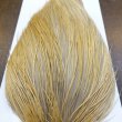 画像6: 【WHITING】Hebert ROOSTER CAPE Bronze Grade - Light Ginger No.1 (6)