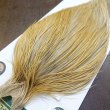 画像3: 【WHITING】Hebert ROOSTER CAPE Bronze Grade - Light Ginger No.1 (3)