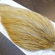 画像4: 【WHITING】Hebert ROOSTER CAPE Bronze Grade - Light Ginger No.1 (4)