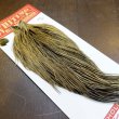 画像2: 【WHITING】ROOSTER Cape Pro Grade - Golden Badger No.1 (2)