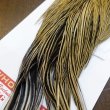 画像5: 【WHITING】ROOSTER Cape Pro Grade - Golden Badger No.1 (5)