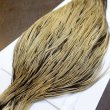 画像3: 【Whiting】Hebert ROOSTER CAPE Bronze Grade - GOLDEN BADGER No.1 (3)