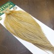 画像2: 【WHITING】Hebert ROOSTER CAPE Bronze Grade - Light Ginger No.1 (2)