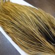 画像4: 【Whiting】Hebert ROOSTER CAPE Bronze Grade - GOLDEN BADGER No.2 (4)