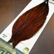 画像3: 【WHITING】Hebert ROOSTER CAPE PRO grade - Furnace No.4 (3)