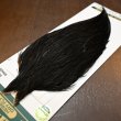 画像3: 【WHITING】Hebert ROOSTER CAPE PRO Grade - NA Black No.1 (3)