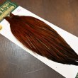 画像2: 【WHITING】Hebert ROOSTER CAPE PRO grade - Furnace No.4 (2)