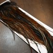 画像2: 【WHITING】Hebert ROOSTER SADDLE PRO Grade - Furnace No.1 #16 (2)