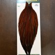 画像1: 【WHITING】Hebert ROOSTER CAPE PRO grade - Furnace No.4 (1)