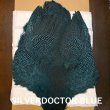 画像5: 【Whiting】Guinea Fowl Large コンプリート(SALE) (5)