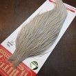 画像3: 【Whiting】ROOSTER CAPE Pro Grade - Light Dun No.2 (3)