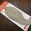 画像2: 【Whiting】ROOSTER CAPE Pro Grade - Light Dun No.2 (2)