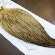 画像2: 【Whiting】HERITAGE ROOSTER CAPE PRO GRADE No.24 (2)